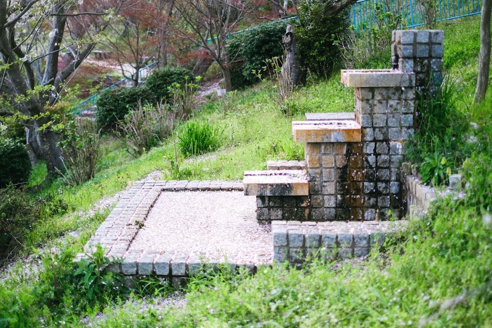 神戶須磨浦山上遊園 櫻花65