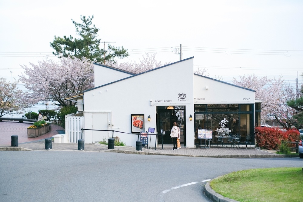 神戶須磨浦山上遊園 櫻花74