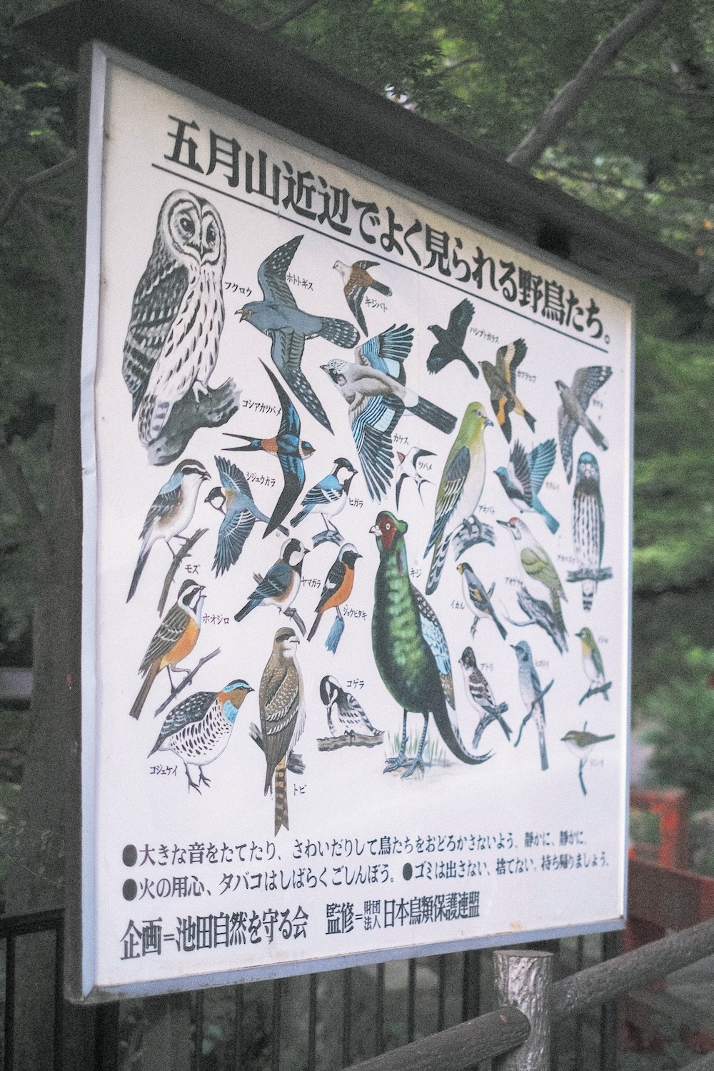 大阪天空鳥居「秀望台」45