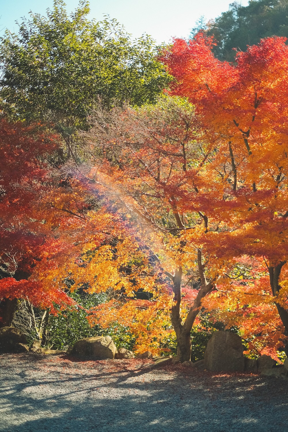 むら玄：神戶人的後花園，蘆屋川秘境蕎麥麵店11