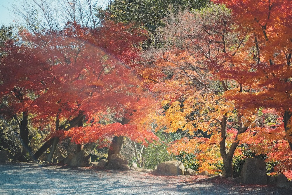 むら玄：神戶人的後花園，蘆屋川秘境蕎麥麵店29