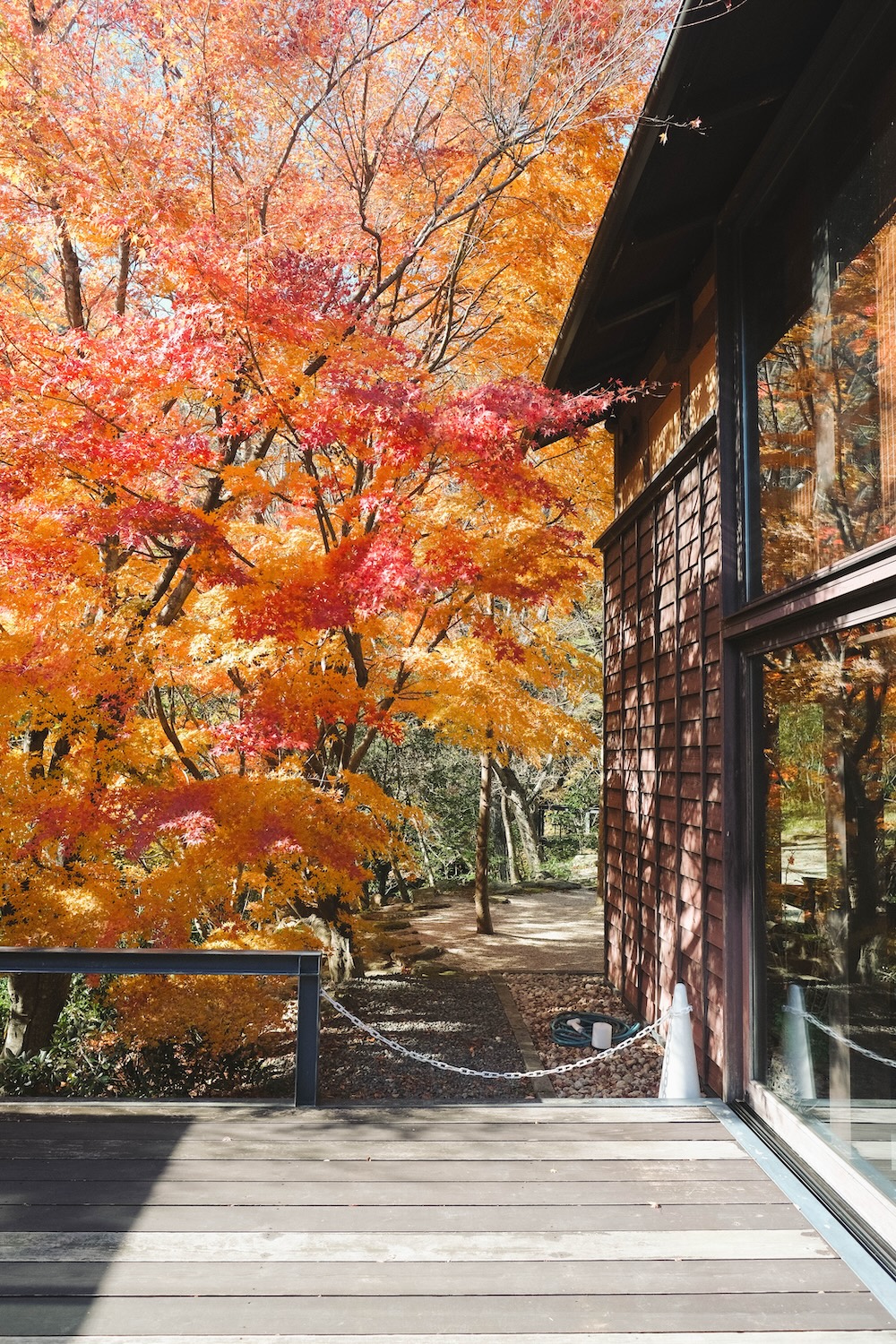 むら玄：神戶人的後花園，蘆屋川秘境蕎麥麵店3