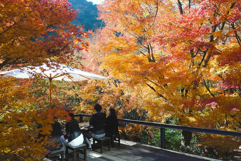 むら玄：神戶人的後花園，蘆屋川秘境蕎麥麵店