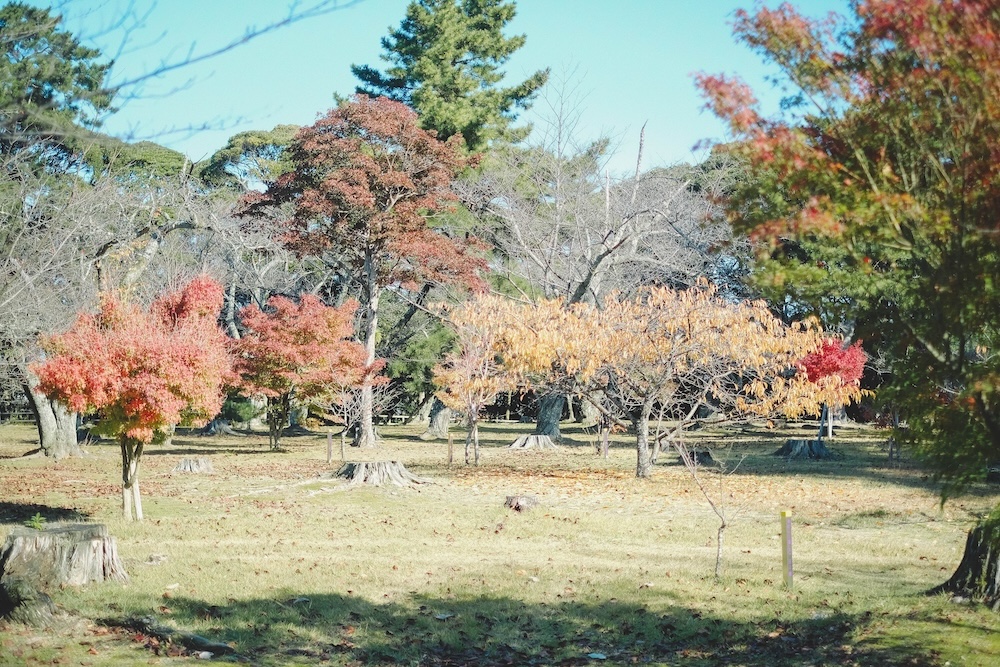 吉崎御坊跡（吉崎東別院）109