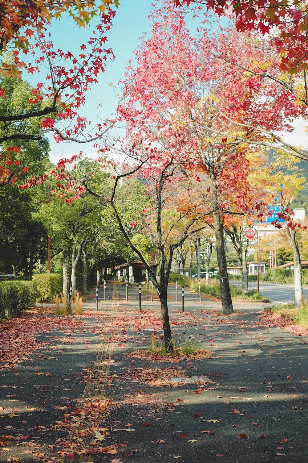 山口縣立美術館前 PARK ROAD5