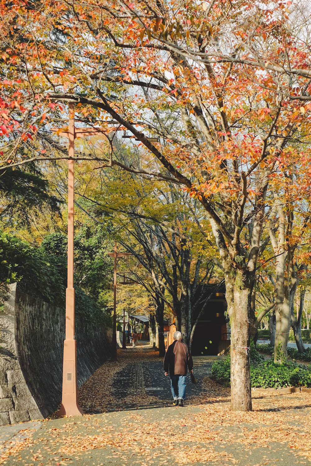 山口縣立美術館前 PARK ROAD6