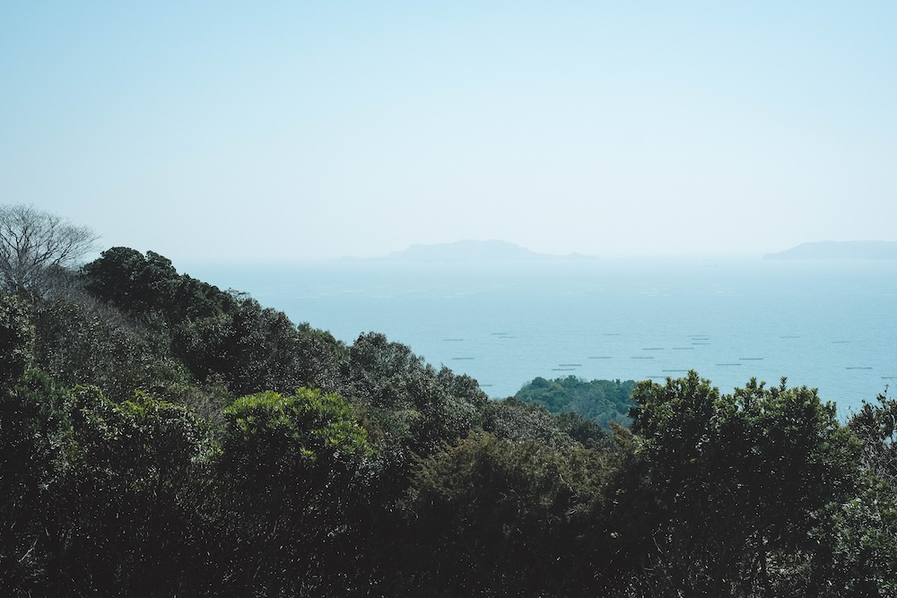 兵庫春季自駕一日遊：綾部山梅林・世界梅公園・赤穗河津櫻並木・坂越散策・姬路梅並木道49