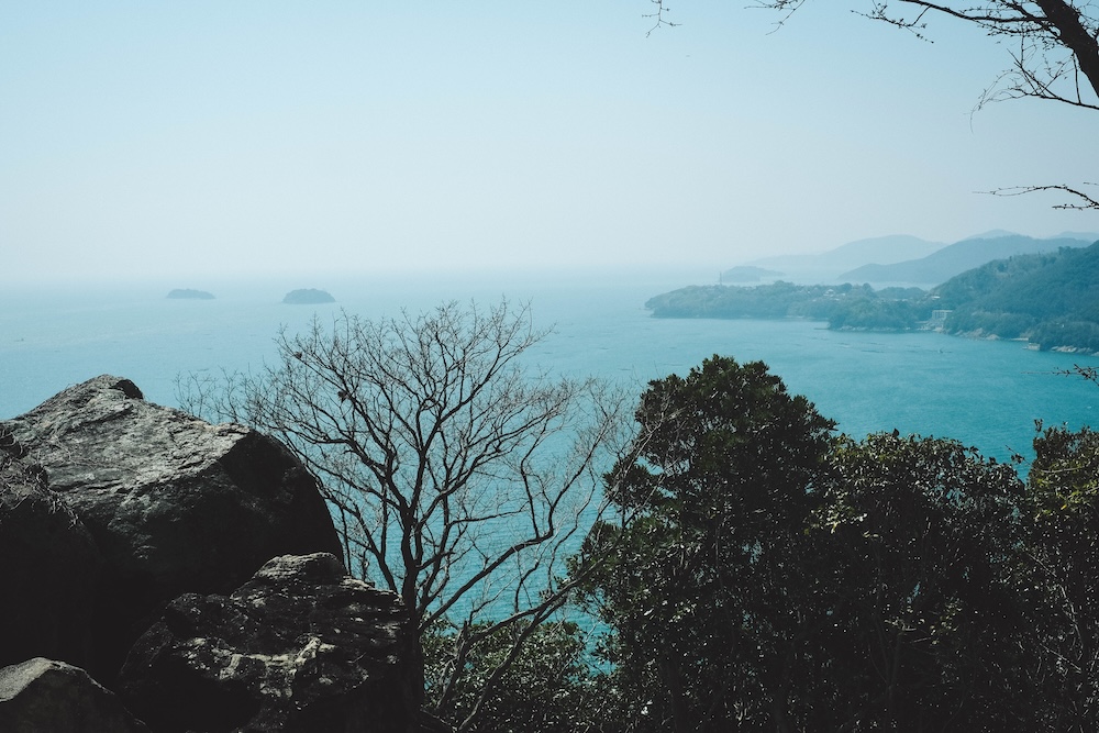 兵庫春季自駕一日遊：綾部山梅林・世界梅公園・赤穗河津櫻並木・坂越散策・姬路梅並木道52