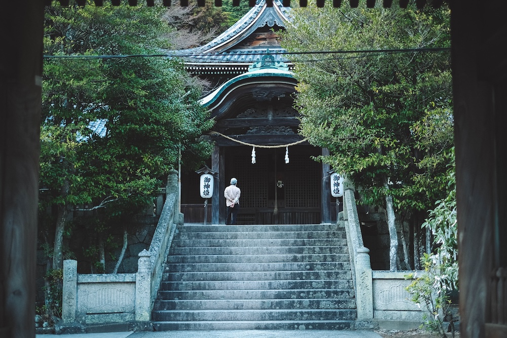 兵庫春季自駕一日遊：綾部山梅林・世界梅公園・赤穗河津櫻並木・坂越散策・姬路梅並木道99