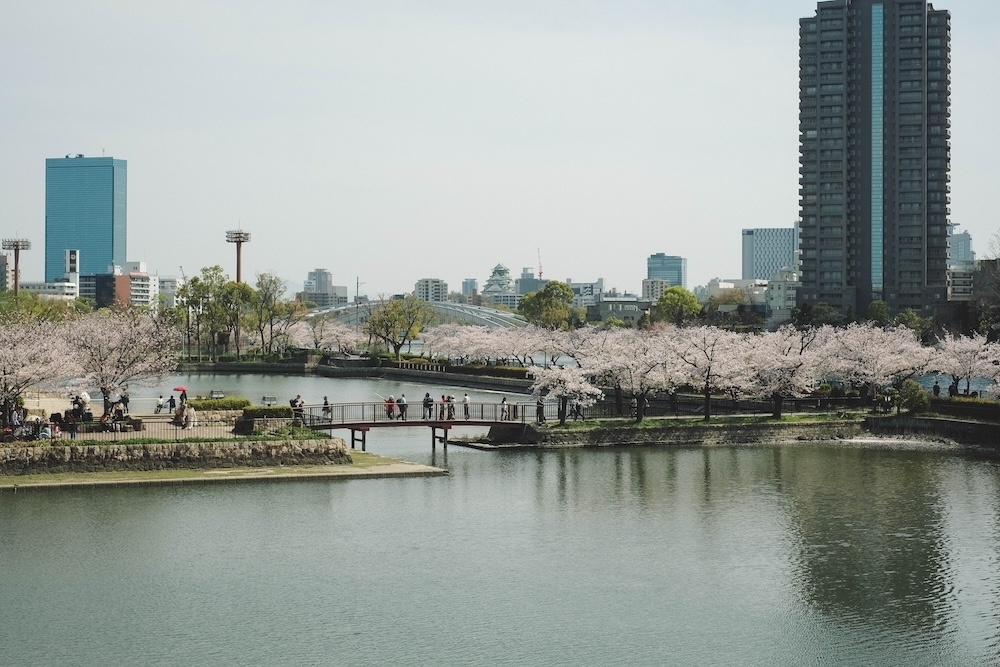 大阪北區一日賞櫻路線：大阪城・櫻之宮・天滿橋・北濱「spectaclekitahama 」・造幣局夜櫻1