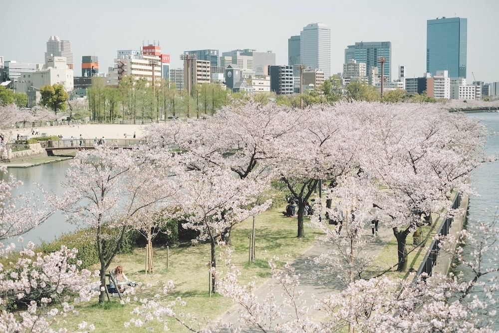 大阪北區一日賞櫻路線：大阪城・櫻之宮・天滿橋・北濱「spectaclekitahama 」・造幣局夜櫻2