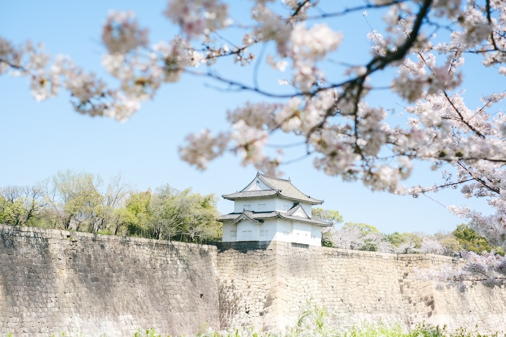 大阪城 櫻花