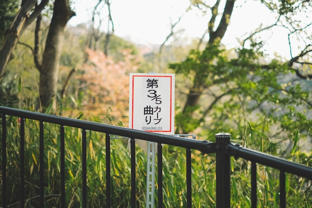 保久良神社 櫻花11