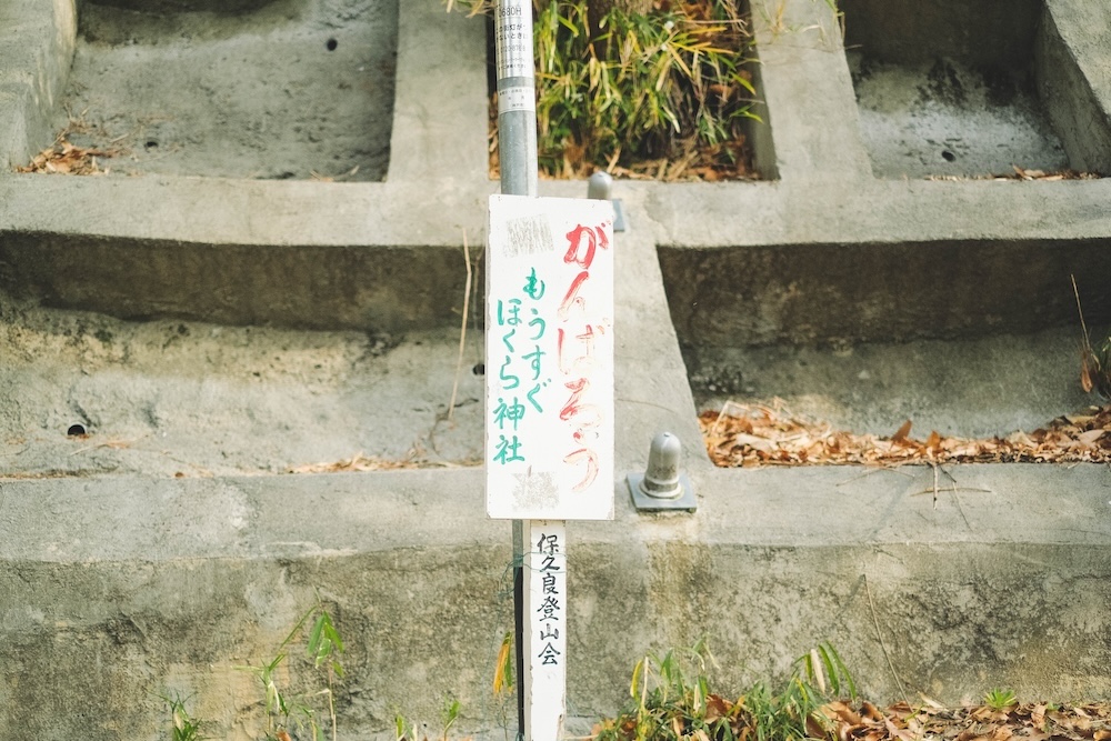 保久良神社 櫻花12