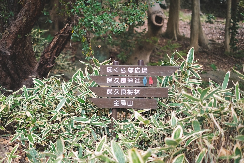保久良神社 櫻花52