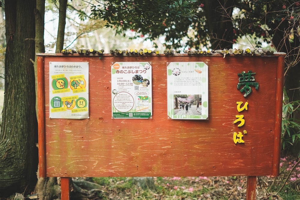 保久良神社 櫻花54