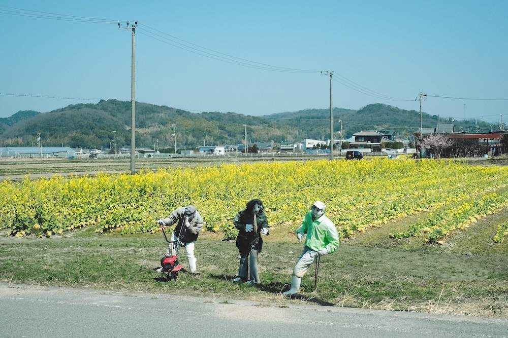綾部山梅林