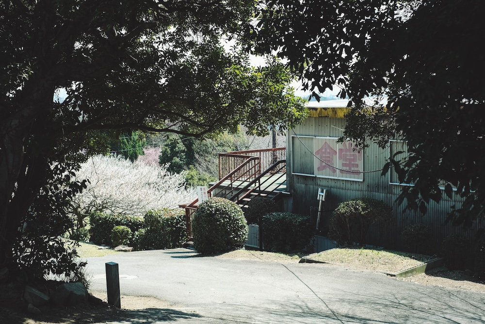 綾部山梅林