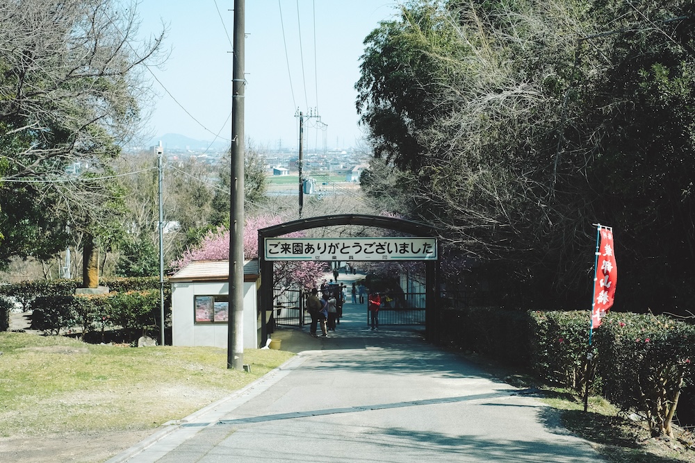 綾部山梅林