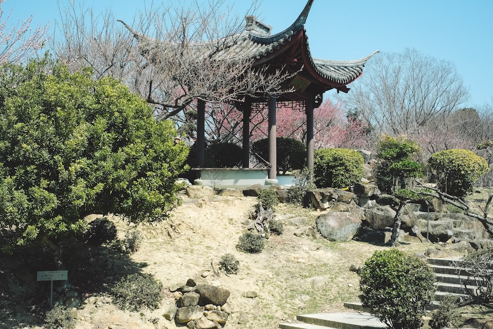 兵庫春季自駕一日遊：綾部山梅林・世界梅公園・赤穗河津櫻並木・坂越散策・姬路梅並木道50