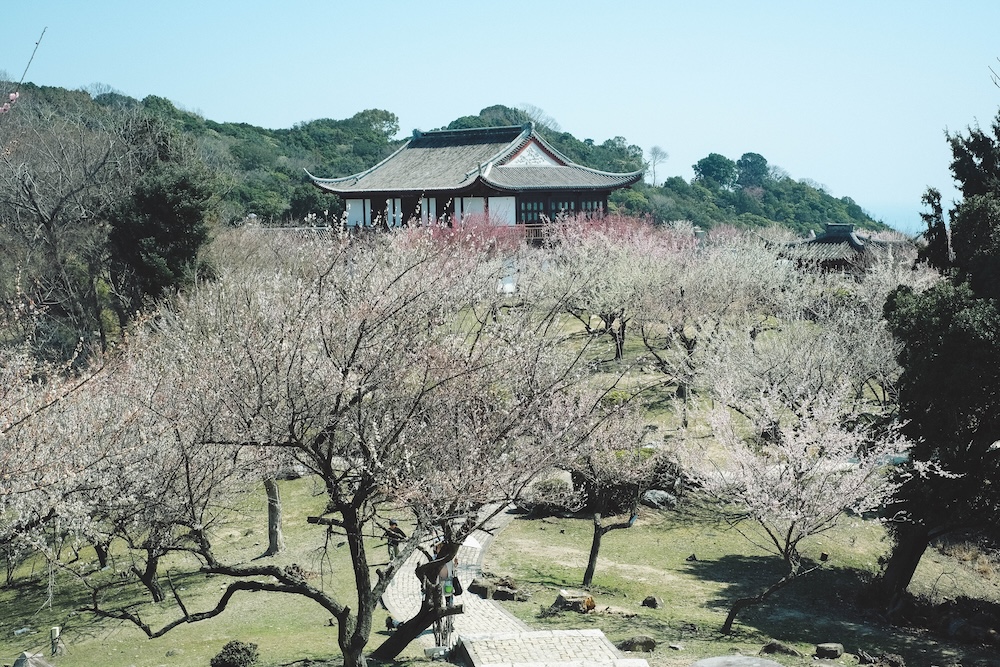 兵庫春季自駕一日遊：綾部山梅林・世界梅公園・赤穗河津櫻並木・坂越散策・姬路梅並木道54