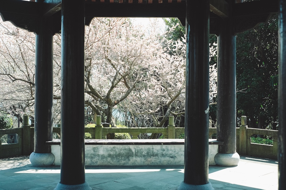兵庫春季自駕一日遊：綾部山梅林・世界梅公園・赤穗河津櫻並木・坂越散策・姬路梅並木道59