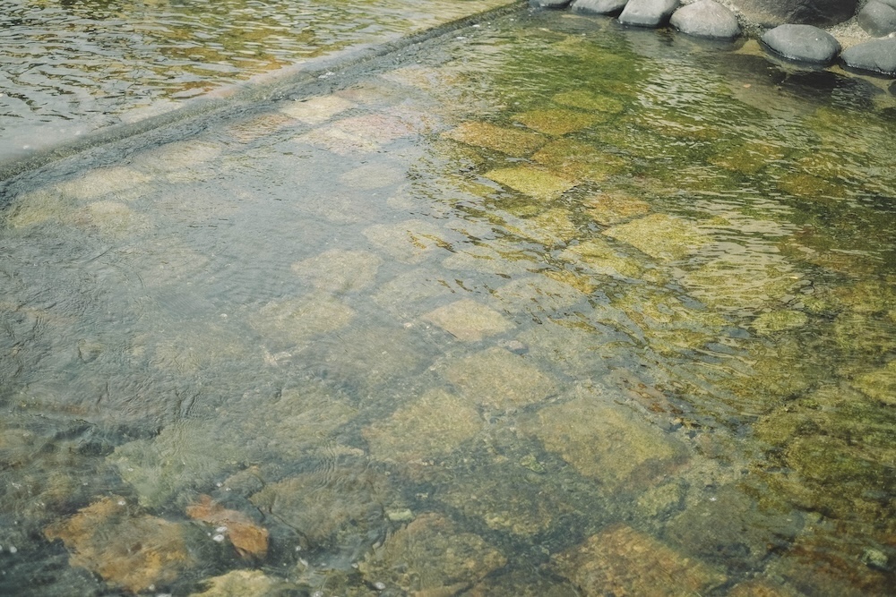 神戶人的兒童節，黃金週GW鯉魚旗在地景點3選25