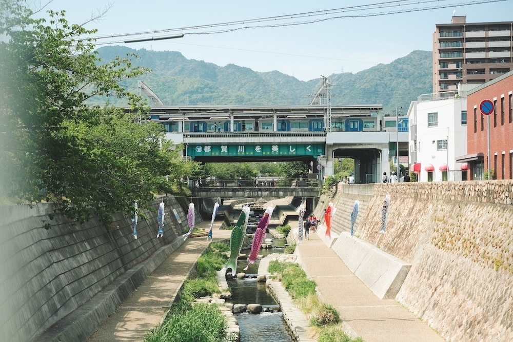 神戶人的兒童節，黃金週GW鯉魚旗在地景點3選7