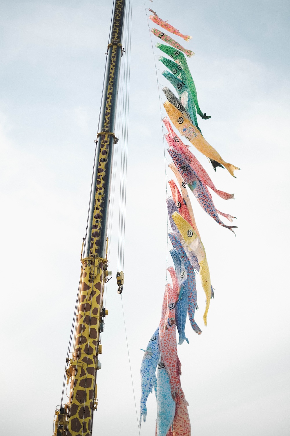 神戶港 鯉魚旗3