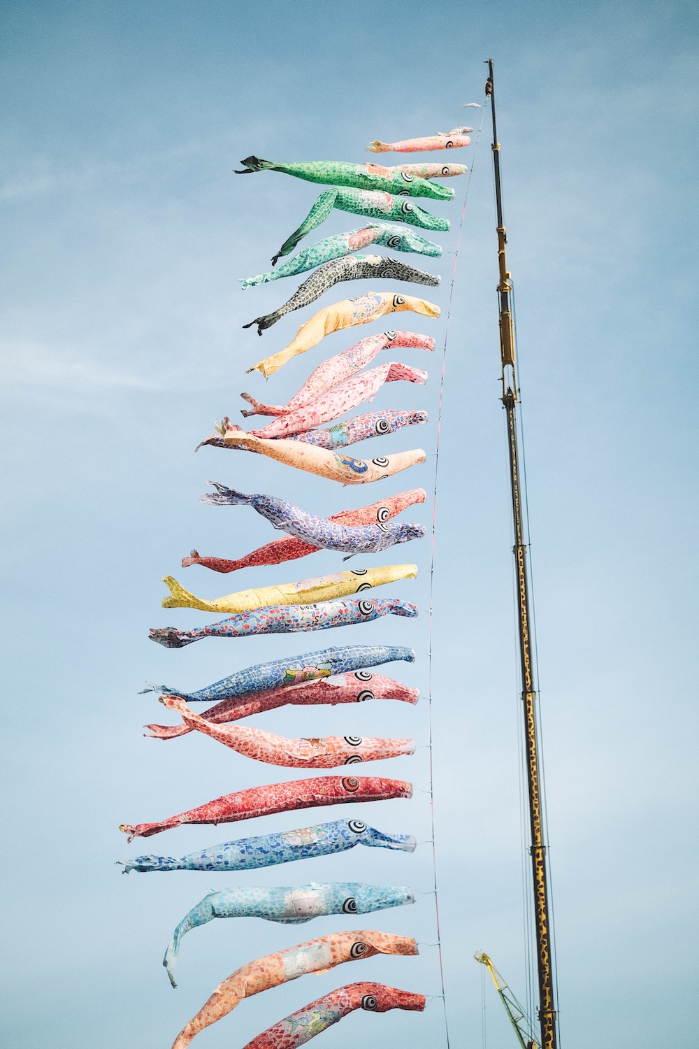 神戶港 鯉魚旗4