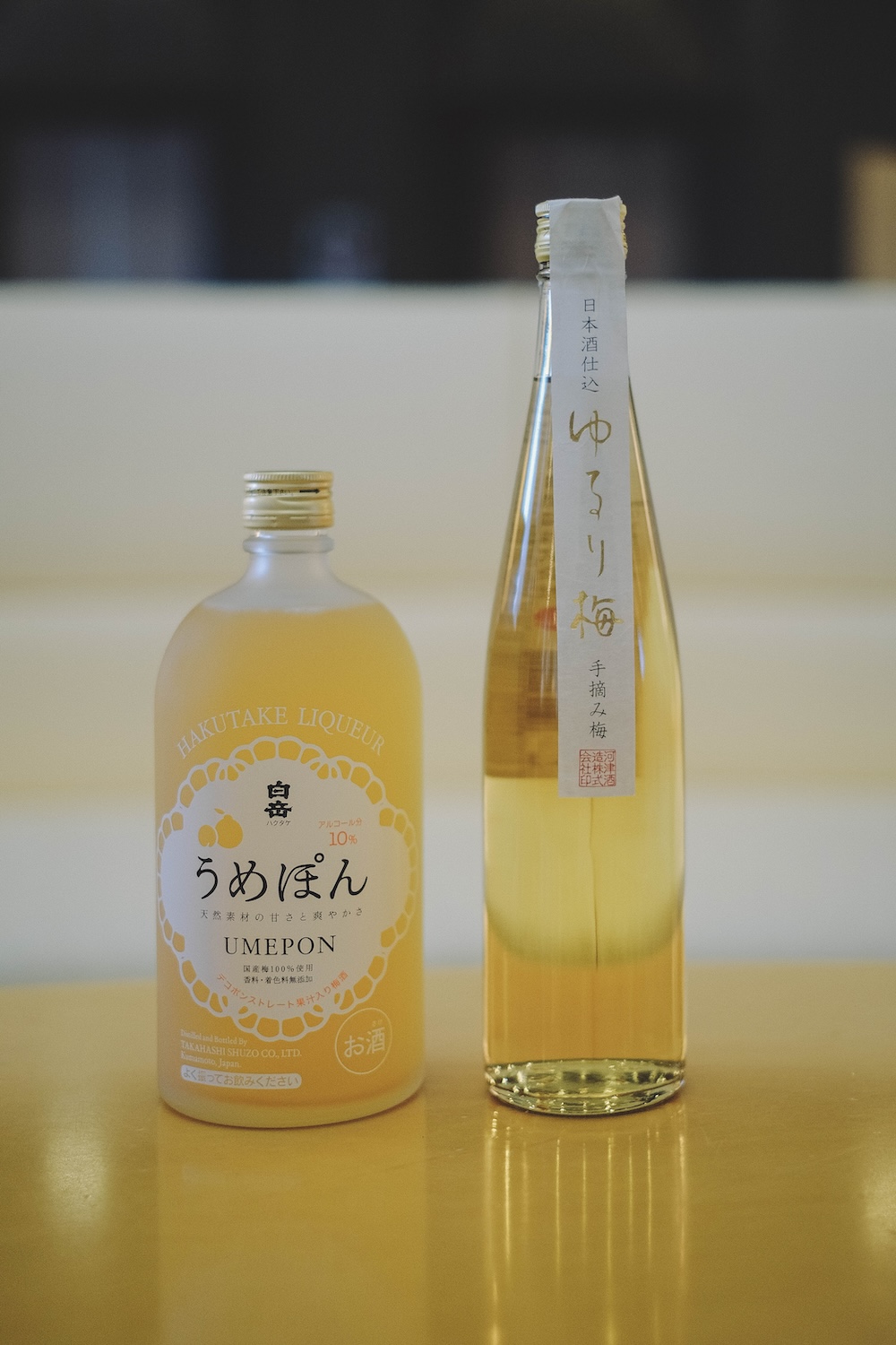 阿蘇 龜之井飯店 龜之井酒店555