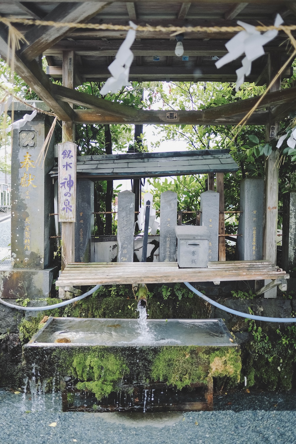 阿蘇神社3
