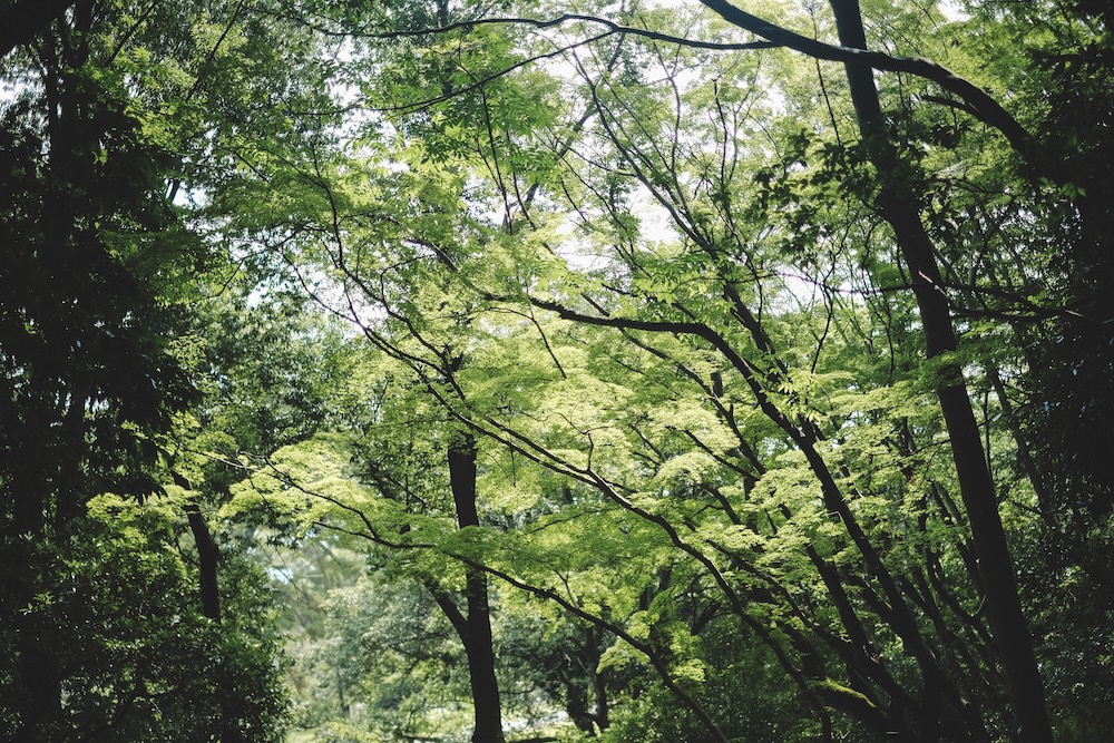 伊賀 忍者博物館3