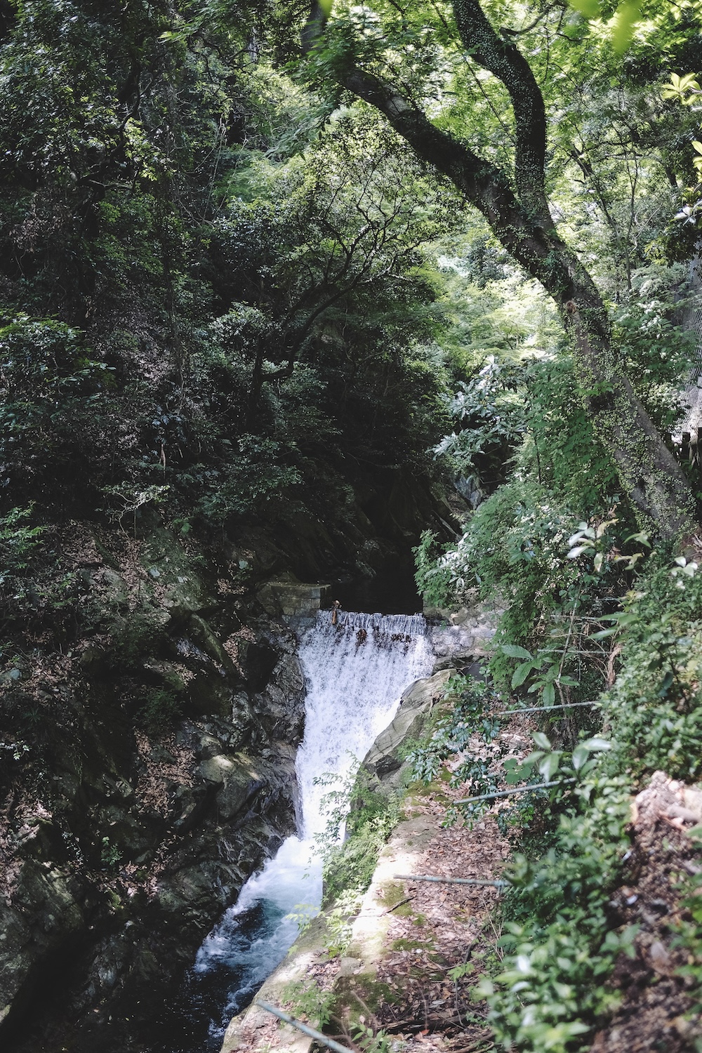新神戶～布引登山漫步｜夏日綠意，邂逅日本百大瀑布＆布引雄滝茶屋