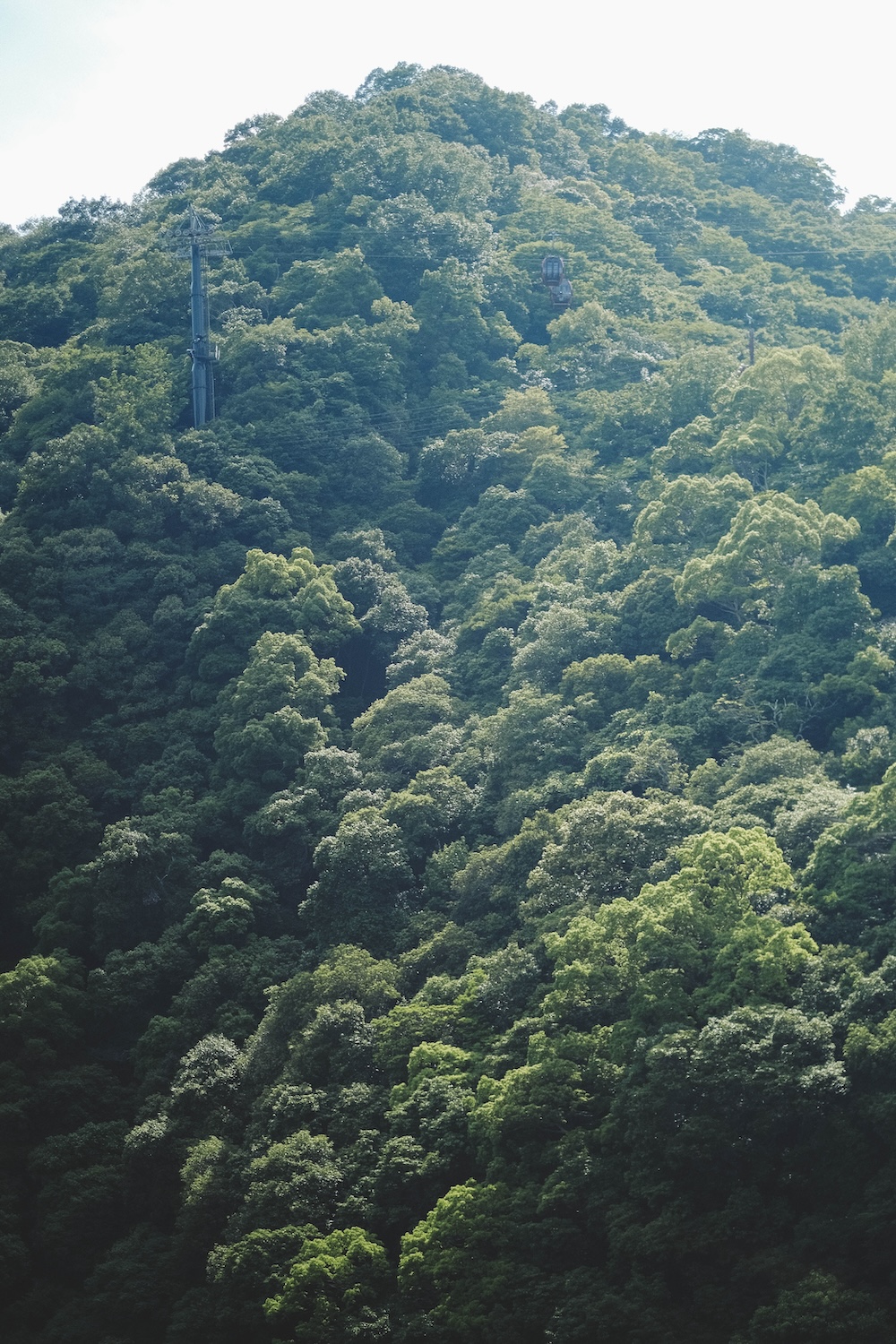 新神戶～布引登山漫步｜夏日綠意，邂逅日本百大瀑布＆布引雄滝茶屋53