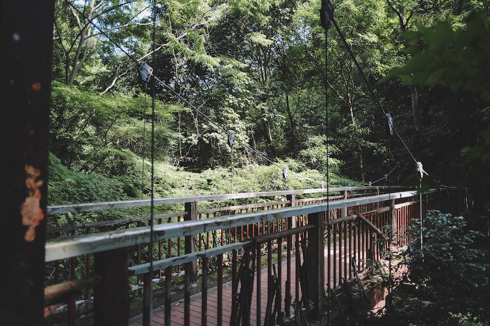 新神戶～布引登山漫步｜夏日綠意，邂逅日本百大瀑布＆布引雄滝茶屋58