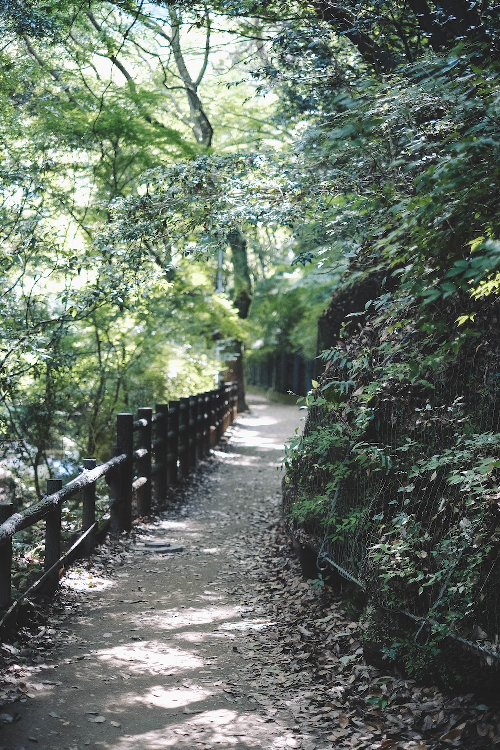新神戶～布引登山漫步｜夏日綠意，邂逅日本百大瀑布＆布引雄滝茶屋61