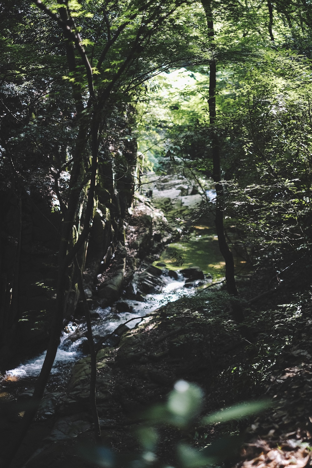 新神戶～布引登山漫步｜夏日綠意，邂逅日本百大瀑布＆布引雄滝茶屋62