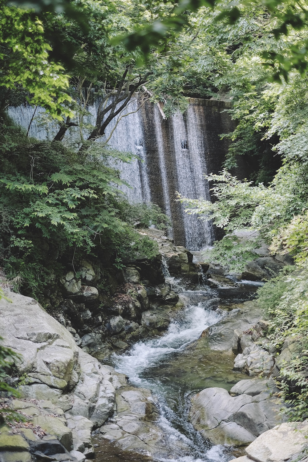 新神戶～布引登山漫步｜夏日綠意，邂逅日本百大瀑布＆布引雄滝茶屋65