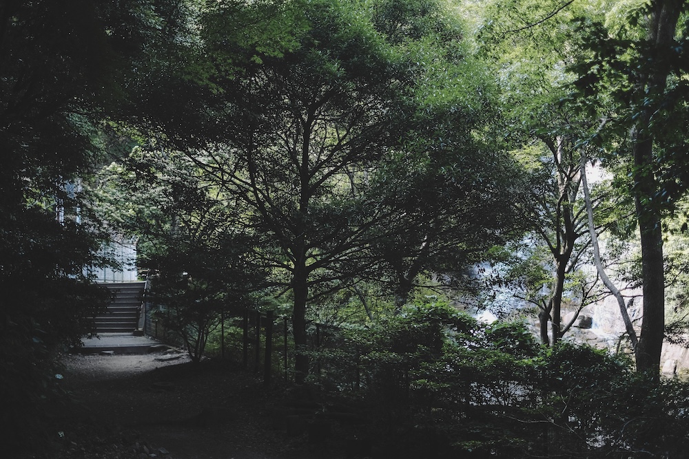新神戶～布引登山漫步｜夏日綠意，邂逅日本百大瀑布＆布引雄滝茶屋68