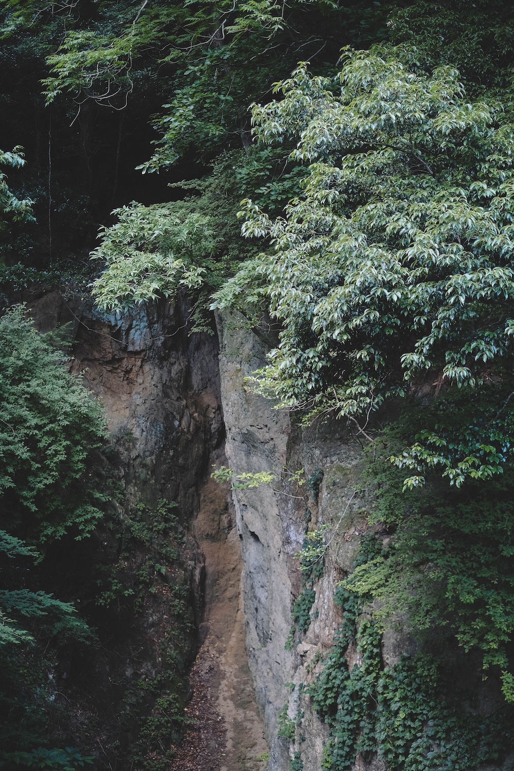 新神戶～布引登山漫步｜夏日綠意，邂逅日本百大瀑布＆布引雄滝茶屋77