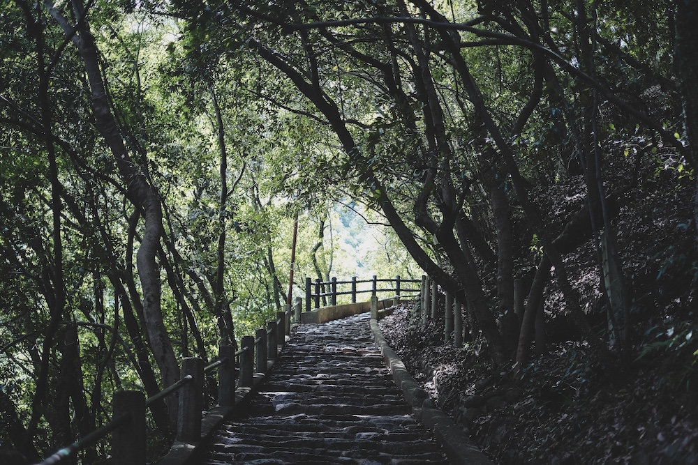新神戶～布引登山漫步｜夏日綠意，邂逅日本百大瀑布＆布引雄滝茶屋8