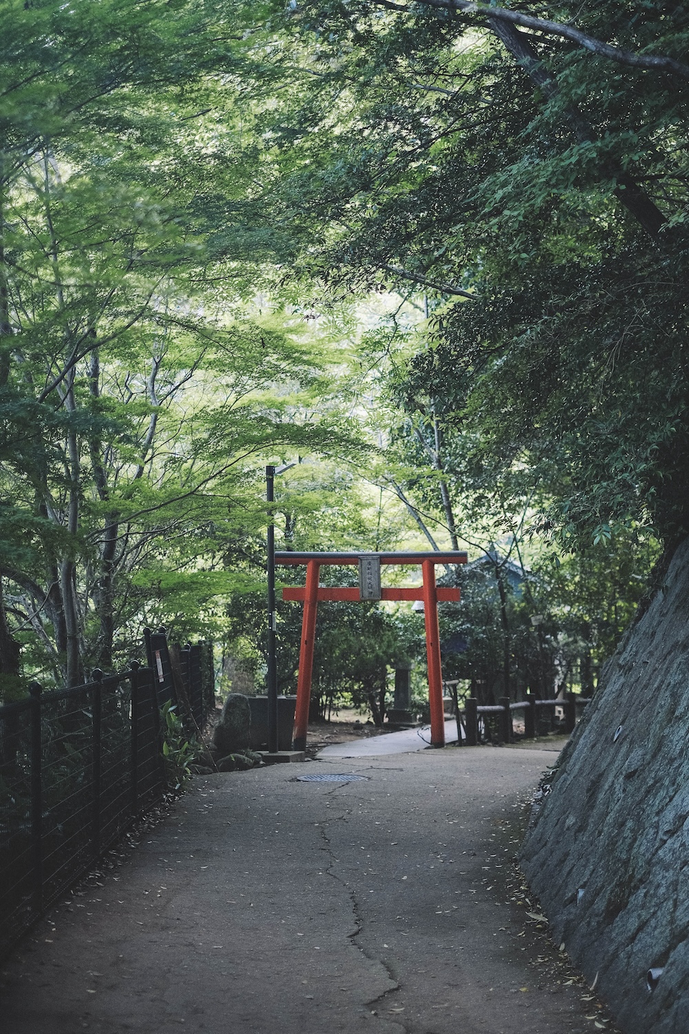 新神戶～布引登山漫步｜夏日綠意，邂逅日本百大瀑布＆布引雄滝茶屋