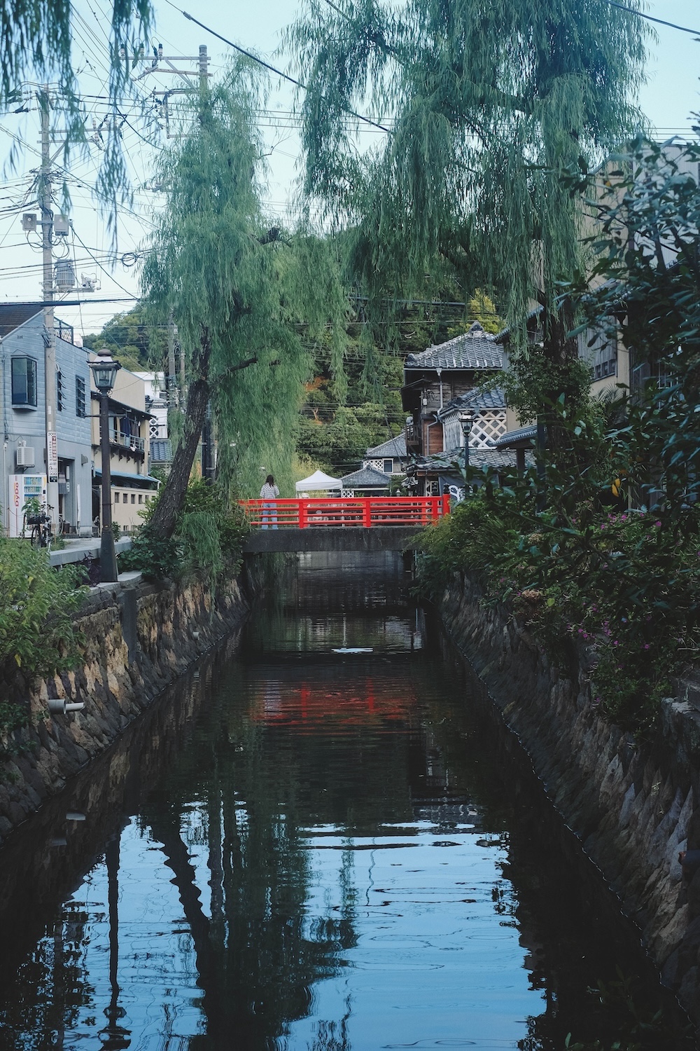 100藍寶石SAPHIR踴子列車 × 下田・南伊豆：2天1夜女子旅