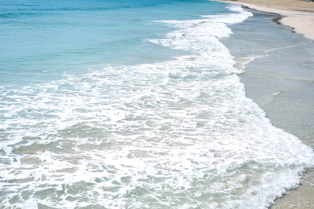 171藍寶石SAPHIR踴子列車 × 下田・南伊豆：2天1夜女子旅