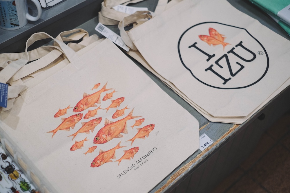 202藍寶石SAPHIR踴子列車 × 下田・南伊豆：2天1夜女子旅