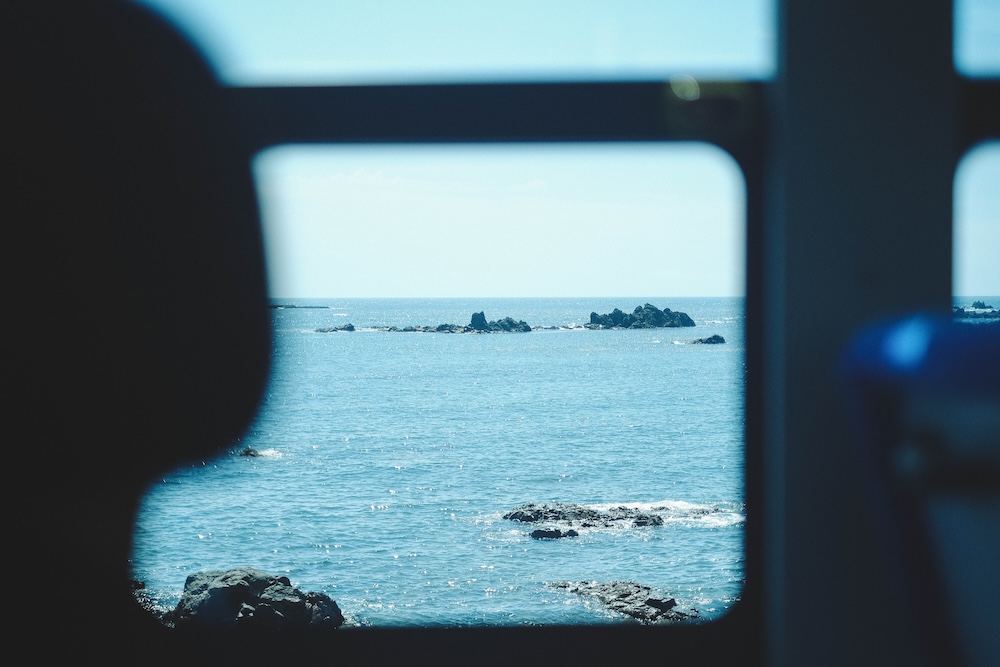 209藍寶石SAPHIR踴子列車 × 下田・南伊豆：2天1夜女子旅