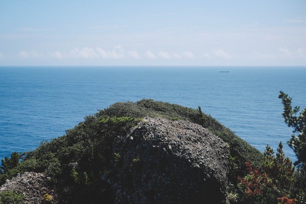 215藍寶石SAPHIR踴子列車 × 下田・南伊豆：2天1夜女子旅