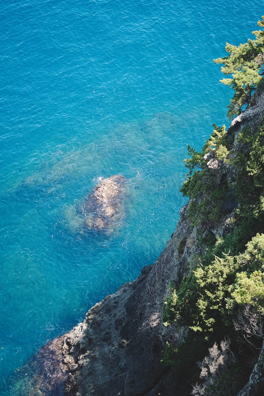 222藍寶石SAPHIR踴子列車 × 下田・南伊豆：2天1夜女子旅
