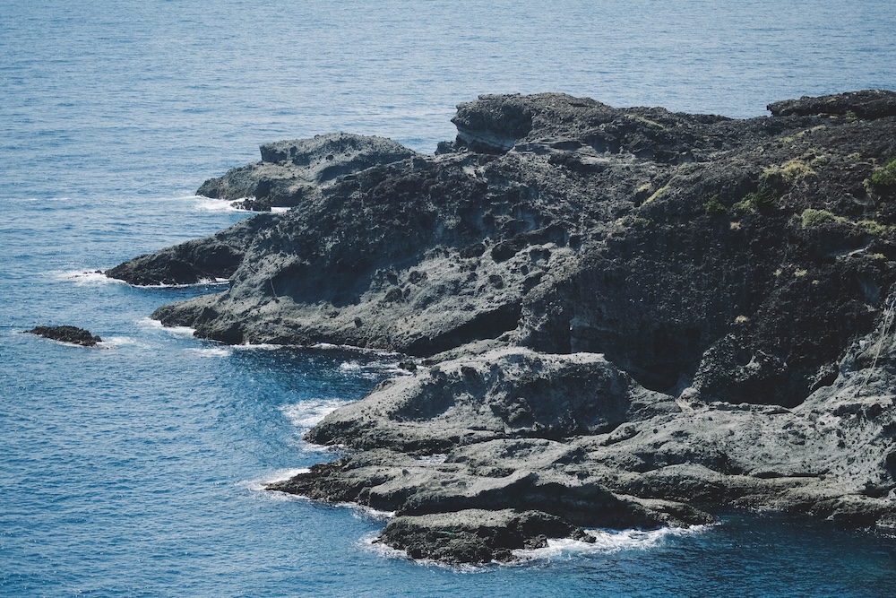 231藍寶石SAPHIR踴子列車 × 下田・南伊豆：2天1夜女子旅